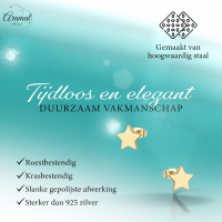 Ster oorstekers goudkleur staal &acirc;&euro;&ldquo; 4mm mini -