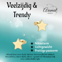 Ster oorstekers goudkleur staal &acirc;&euro;&ldquo; 4mm mini -