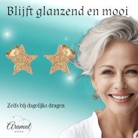 Ster oorstekers goudkleur &acirc;&euro;&ldquo; sandblasted &acirc;&euro;&ldquo; 8mm -