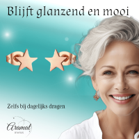 Ster oorstekers rosegoud staal &acirc;&euro;&ldquo; 7mm tijdloos -