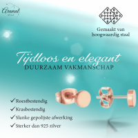 Rosekleurige Ronde Oorstekers RVS 5mm -