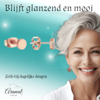 Rosekleurige Ronde Oorstekers RVS 5mm -