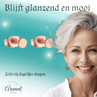 Rosekleurige Ronde Oorstekers RVS 4mm -