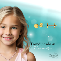 Goudkleurige Ronde Oorstekers RVS 4mm -