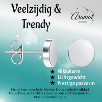 Zilverkleurige Ronde Oorstekers RVS 10mm -