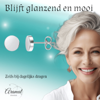 Zilverkleurige Ronde Oorstekers RVS 8mm -