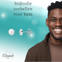 Zilverkleurige Ronde Oorstekers RVS 5mm -