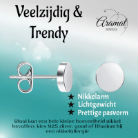 Zilverkleurige Ronde Oorstekers RVS 5mm -