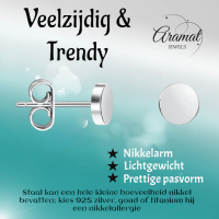Zilverkleurige Ronde Oorstekers RVS 4mm -