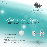 Zilverkleurige Ronde Oorstekers RVS 3mm -