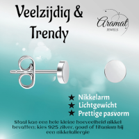 Zilverkleurige Ronde Oorstekers RVS 3mm -