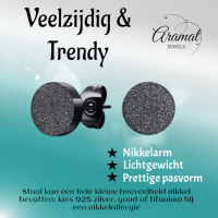 Matte Zwarte RVS Oorstekers 10mm -