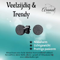 Zwarte RVS Oorstekers Sandblasted 6mm -