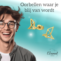 RVS Goudkleurige Vogel Oorbellen Origami -