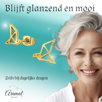 RVS Goudkleurige Vogel Oorbellen Origami -