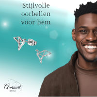 Zilverkleurige Vogel Oorbellen Origami 9mm RVS -