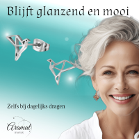 Zilverkleurige Vogel Oorbellen Origami 9mm RVS -