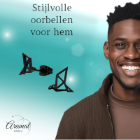 Zwarte Oorbellen Vogel Origami 9mm RVS -