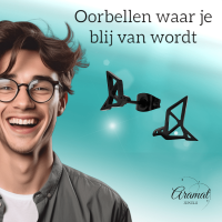 Zwarte Oorbellen Vogel Origami 9mm RVS -