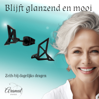Zwarte Oorbellen Vogel Origami 9mm RVS -