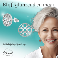 Zilverkleurige Oorbellen Azteken Motief 10mm -