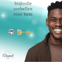 Goudkleurige Zirkonia Oorbellen 5mm Lila -