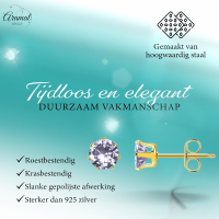 Goudkleurige Zirkonia Oorbellen 5mm Lila -