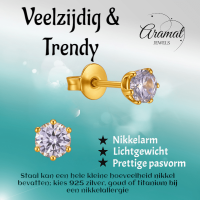 Goudkleurige Zirkonia Oorbellen 4mm Lila -