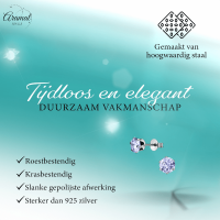 Zilverkleurige Zirkonia Oorbellen 6mm Lila -
