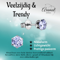 Zilverkleurige Zirkonia Oorbellen 5mm Lila -