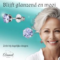 Zilverkleurige Zirkonia Oorbellen 5mm Lila -