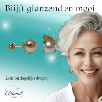 Goudkleurige Stalen Parel Oorbellen 8mm -