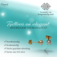 Goudkleurige Stalen Parel Oorbellen 5mm -