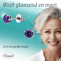 Zirkonia Oorbellen 4mm Paars RVS -