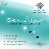 Zirkonia Oorbellen 4mm Paars RVS -