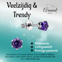 Zirkonia Oorbellen 4mm Paars RVS -