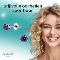 Zirkonia Oorbellen 4mm Paars RVS -
