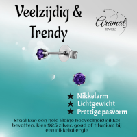 Zirkonia Oorbellen Paars &acirc;&euro;&ldquo; 3mm RVS -
