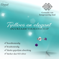 Zirkonia Oorbellen Paars &acirc;&euro;&ldquo; 3mm RVS -