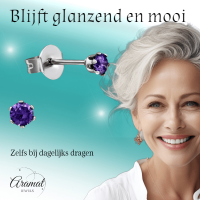 Zirkonia Oorbellen Paars &acirc;&euro;&ldquo; 3mm RVS -