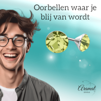 Lichtgroene Mini Kristal Oorbellen &acirc;&euro;&ldquo; 3mm &acirc;&euro;&ldquo; RVS -