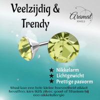 Lichtgroene Mini Kristal Oorbellen &acirc;&euro;&ldquo; 3mm &acirc;&euro;&ldquo; RVS -