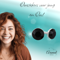 Zwarte Kristallen Mini Oorbellen &acirc;&euro;&ldquo; 3mm &acirc;&euro;&ldquo; RVS -