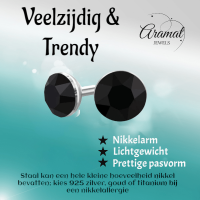 Zwarte Kristallen Mini Oorbellen &acirc;&euro;&ldquo; 3mm &acirc;&euro;&ldquo; RVS -