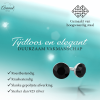 Zwarte Kristallen Mini Oorbellen &acirc;&euro;&ldquo; 3mm &acirc;&euro;&ldquo; RVS -