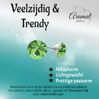 Lichtgroene Mini Oorknopjes &acirc;&euro;&ldquo; 3mm &acirc;&euro;&ldquo; RVS -