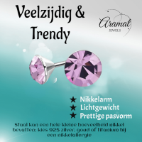 Lila Kristallen Oorstekers &acirc;&euro;&ldquo; 3mm &acirc;&euro;&ldquo; RVS -
