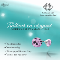 Lila Kristallen Oorstekers &acirc;&euro;&ldquo; 3mm &acirc;&euro;&ldquo; RVS -