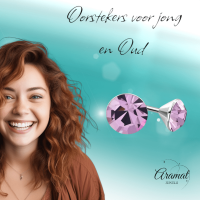 Lila Kristallen Oorstekers &acirc;&euro;&ldquo; 3mm &acirc;&euro;&ldquo; RVS -