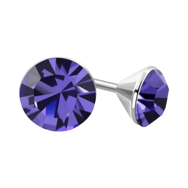 Mini Oorstekers Violet Paars &acirc;&euro;&ldquo; 3mm &acirc;&euro;&ldquo; RVS -